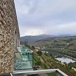 Delfim Douro מלון 4*
