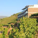 Hotel Delfim Douro Lamego