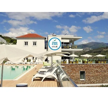 Hotel Delfim Douro