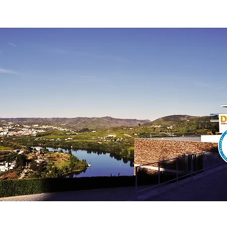 Delfim Douro Hotel 4*