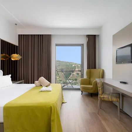 Delfim Douro Hotel Lamego
