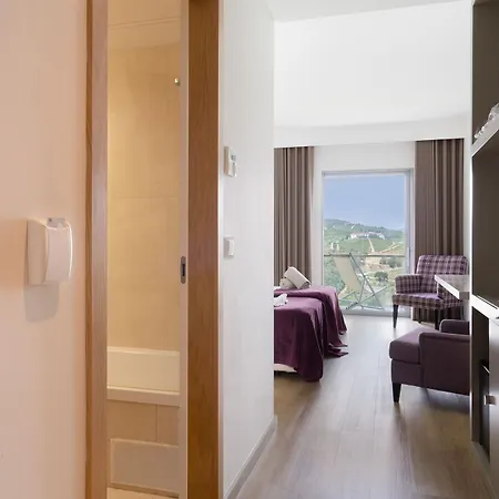 Hotel Delfim Douro 4*