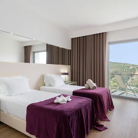 Hotel Delfim Douro 4*