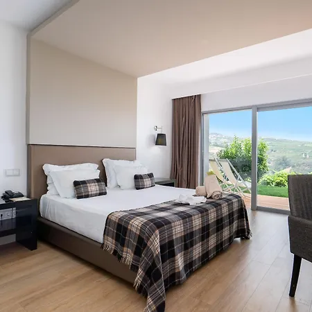 Delfim Douro 4* Lamego