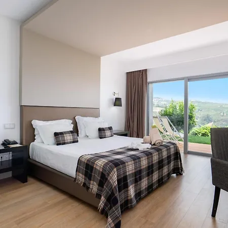 Delfim Douro 4* Lamego