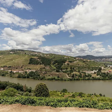 Delfim Douro لاميغو