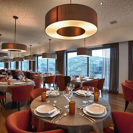 فندق Delfim Douro 4*