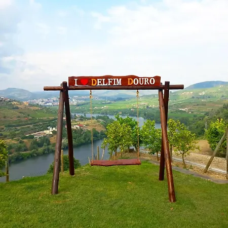 Delfim Douro
