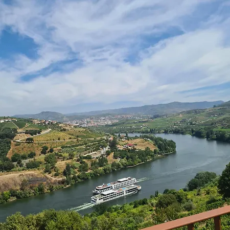 Delfim Douro فندق