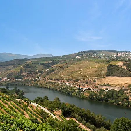 Delfim Douro Lamego