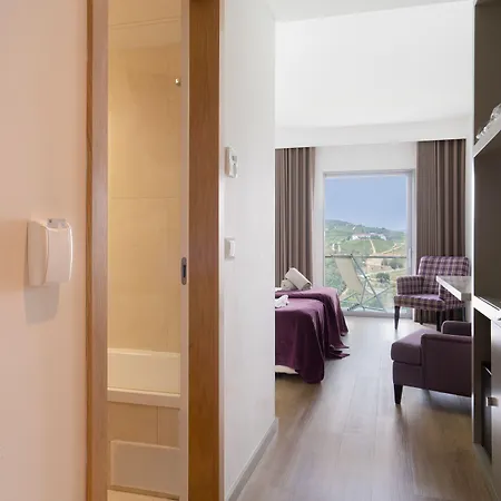 Hotel Delfim Douro Lamego