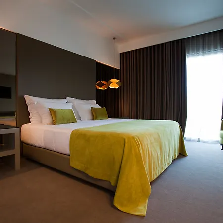 Hotel Delfim Douro Lamego