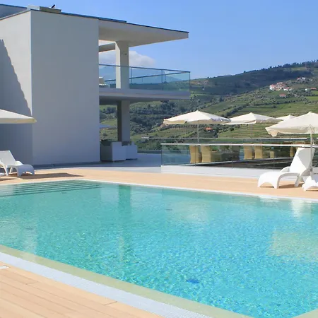 فندق Delfim Douro 4*