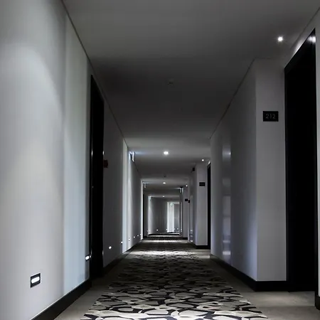 Hotel Delfim Douro Lamego