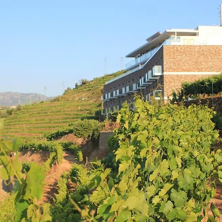 호텔 Delfim Douro 라메구