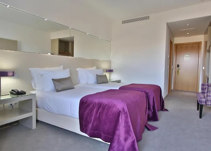 Delfim Douro Hotel 4*