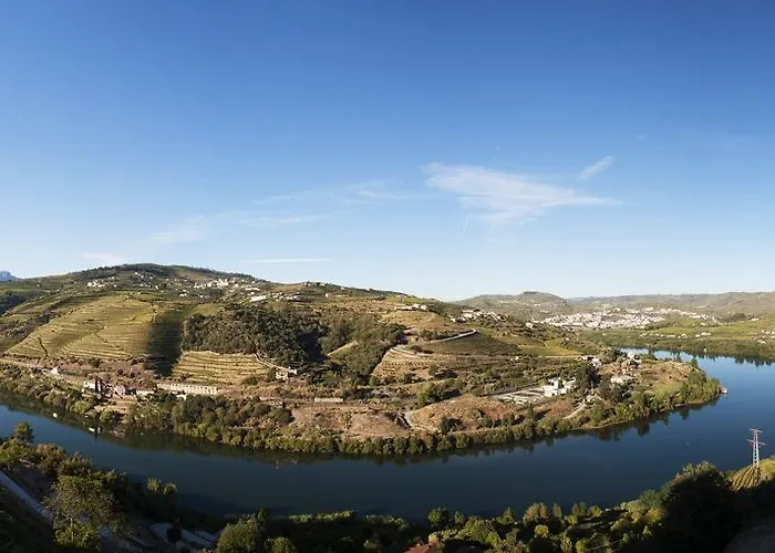 Delfim Douro Lamego