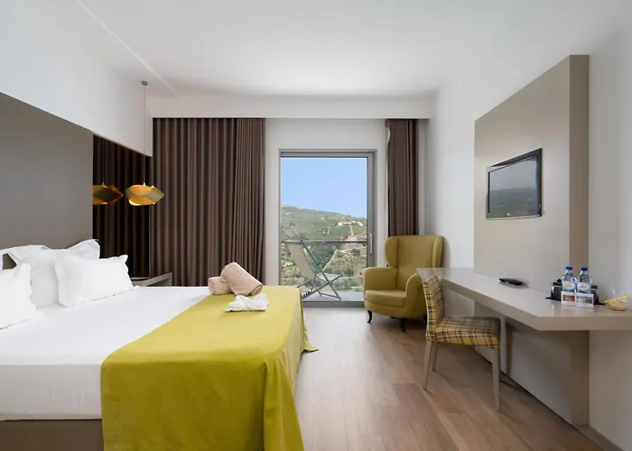 Delfim Douro Hotel Lamego