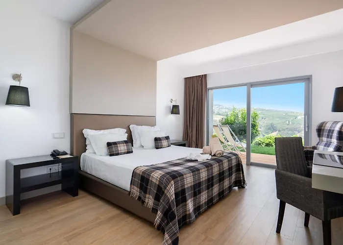 Delfim Douro 4* Ламегу