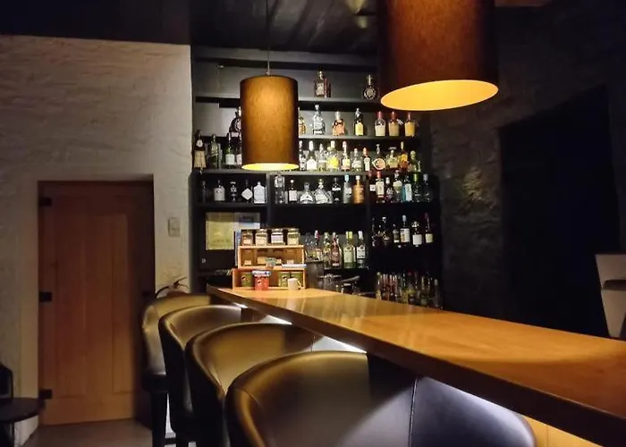 德尔芬杜罗酒店 4*