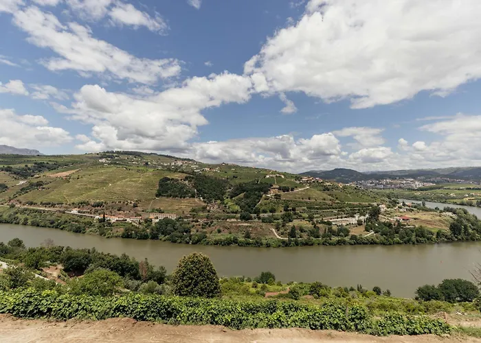 Delfim Douro Lamego