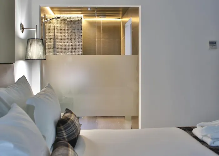 德尔芬杜罗酒店