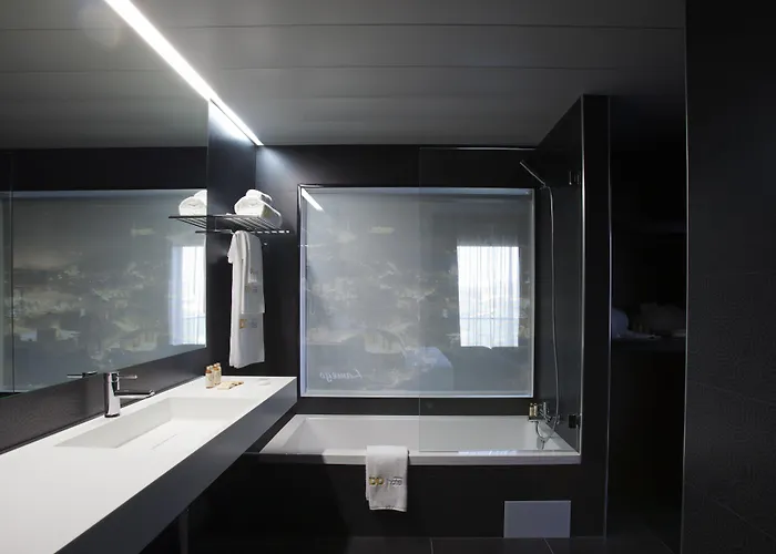 Hotel Delfim Douro 4*