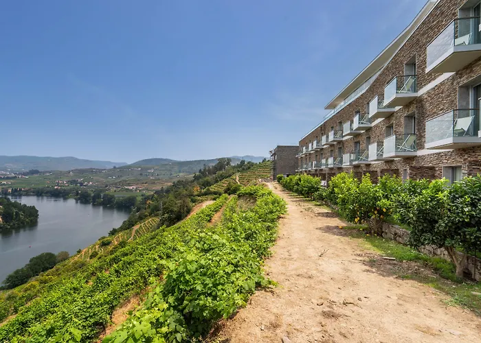 Hotel Delfim Douro