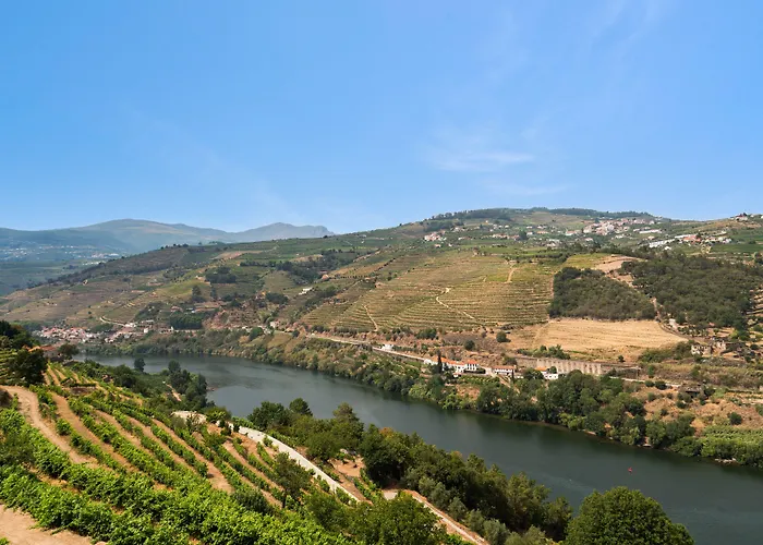Delfim Douro Lamego