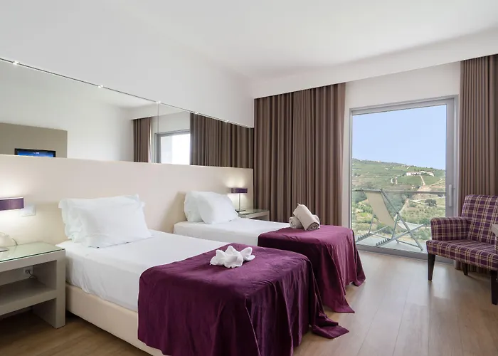 Delfim Douro Hotel
