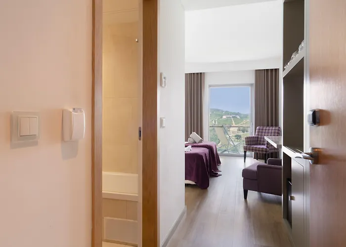 Hotel Delfim Douro Lamego