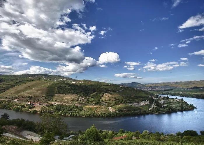 Hotel Delfim Douro Lamego